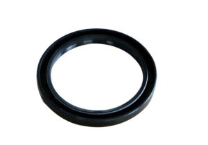 Double lip seal