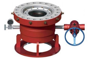 Casing head